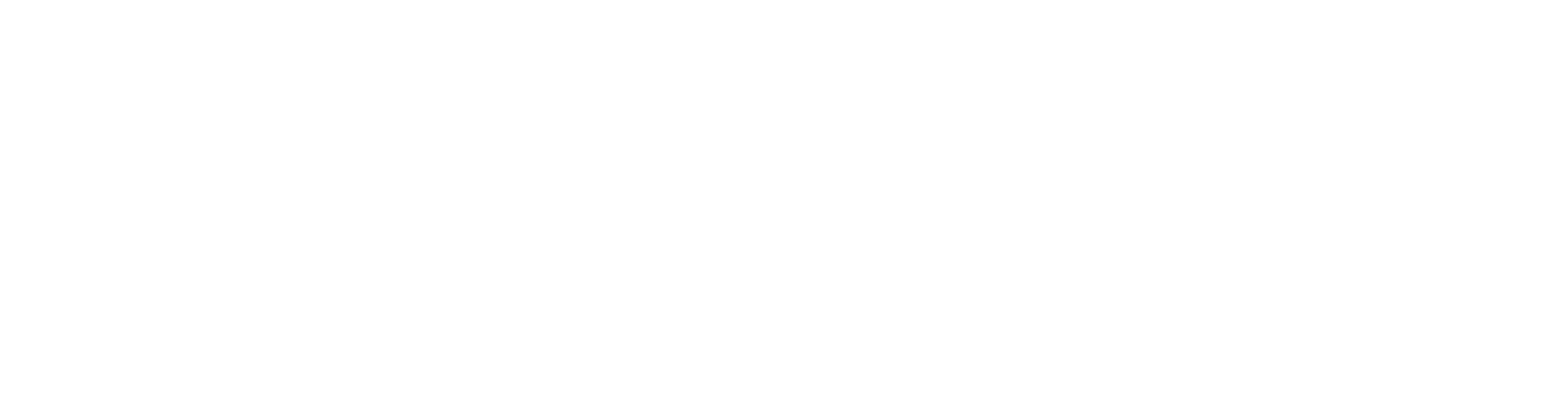 ALPS Inspection